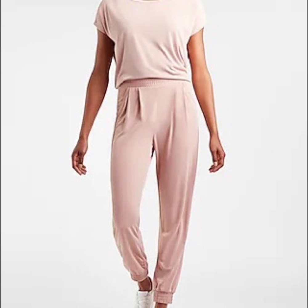 Express Super Soft Sueded Jersey Joggers